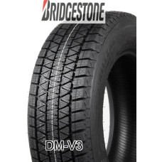 Bridgestone DM-V3 255/45R20 101T  / Ziema