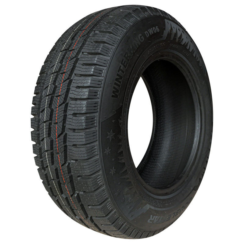 Double Star 195/70R15C DOUBLE STAR DW06 104/102R(8)