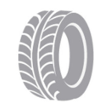 Nexen WINSPIKE WH62 225 / 55 R17         , ar radzēm